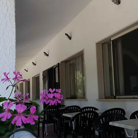 Hotel Bally Experience